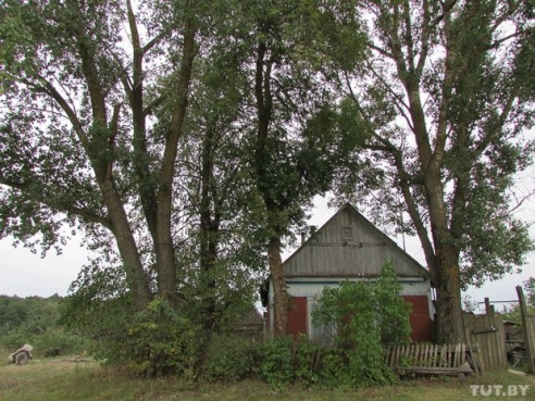 «Свои люди»: ребята из Гомеля, путешествуя, пытаются понять, почему умирает белорусская деревня