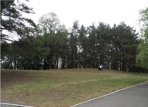 Гомельчане поддержали идею строительства костёла в Советском районе