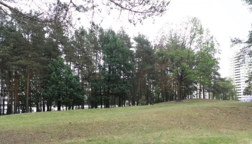 Гомельчане поддержали идею строительства костёла в Советском районе