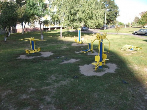 Нужны ли в Гомеле уличные тренажёры?