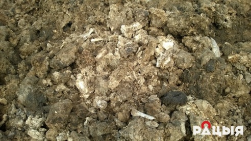 Жители Большевика задыхаются от биологической свалки — продолжение темы (фото)