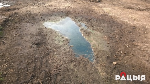 Жители Большевика задыхаются от биологической свалки — продолжение темы (фото)