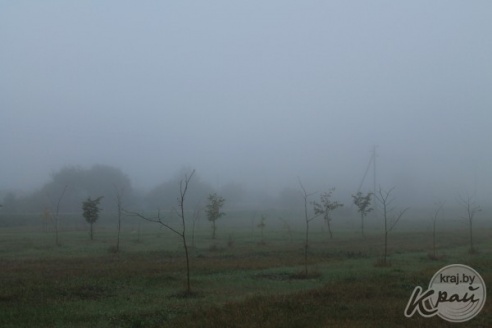 ФОТОФАКТ: Туманное утро в Вилейке