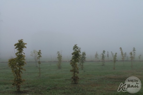 ФОТОФАКТ: Туманное утро в Вилейке