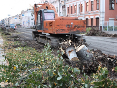 Чтобы расширить проезжую часть, на Кирова срубили деревья (фото)