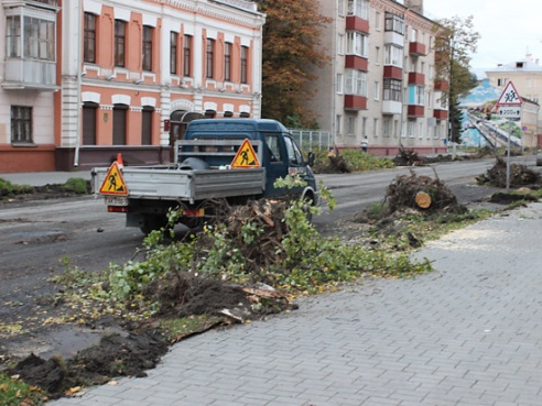 Чтобы расширить проезжую часть, на Кирова срубили деревья (фото)