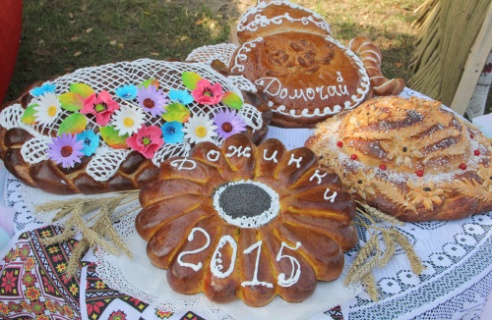 Районный праздник тружеников села состоялось в субботу в агрогородке Новые Самотевичи Костюковичского района (+ фото)