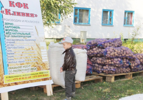 Районный праздник тружеников села состоялось в субботу в агрогородке Новые Самотевичи Костюковичского района (+ фото)