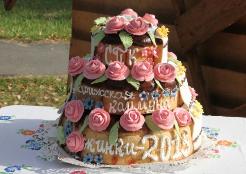 Районный праздник тружеников села состоялось в субботу в агрогородке Новые Самотевичи Костюковичского района (+ фото)