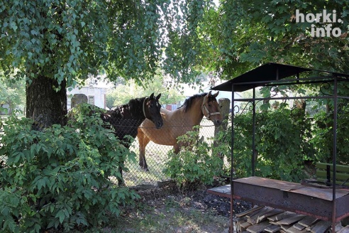 В Горках отправят в прошлое