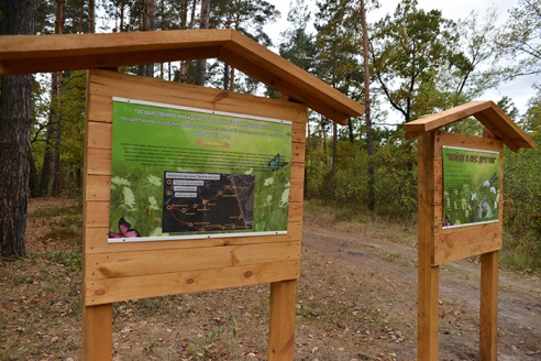Гомельчанам предлагают ходить в лес за... знаниями