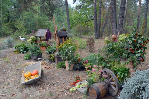 Гомельчанам предлагают ходить в лес за... знаниями