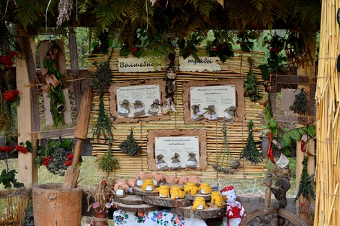 Гомельчанам предлагают ходить в лес за... знаниями