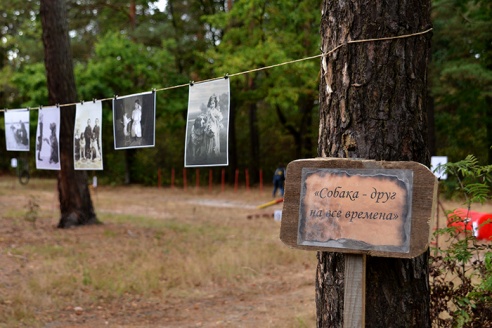 Гомельчанам предлагают ходить в лес за... знаниями
