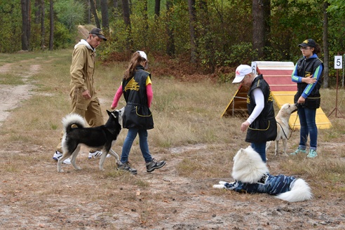 Гомельчанам предлагают ходить в лес за... знаниями