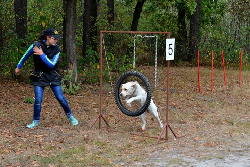 Гомельчанам предлагают ходить в лес за... знаниями