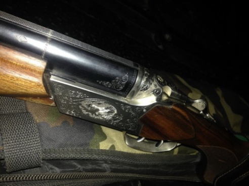 В Вилейском районе подстрелили птицу года – ушастую сову. Охотник якобы перепутал ее с уткой (ФОТО)