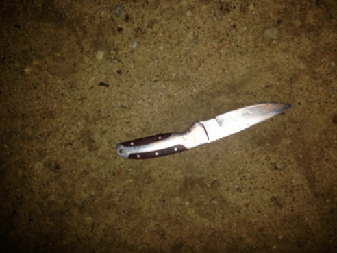 В Вилейском районе подстрелили птицу года – ушастую сову. Охотник якобы перепутал ее с уткой (ФОТО)