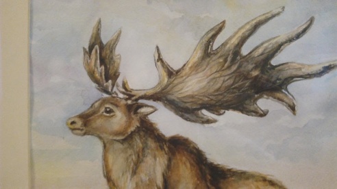 Останки доисторического большерогого оленя во дворце Румянцевых-Паскевичей