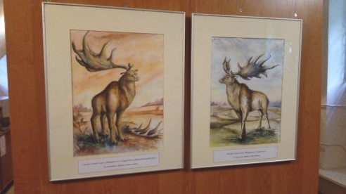 Останки доисторического большерогого оленя во дворце Румянцевых-Паскевичей