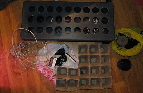 Безработный «садовник» может оказаться в тюрьме за выращивание конопли в квартире