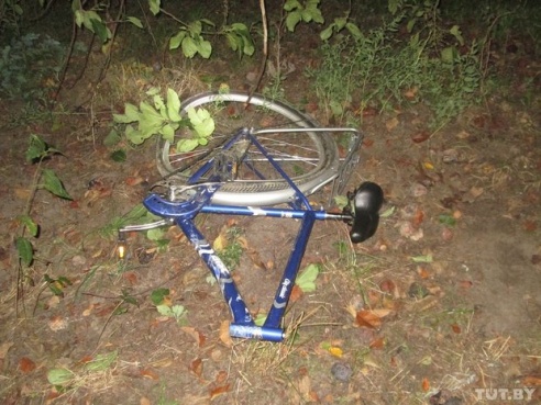 В Речицком районе водитель Peugeot насмерть сбил свою жену, которая ехала на велосипеде