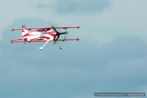 Республиканские соревнования по авиамодельному спорту прошли под Гомелем (фото)
