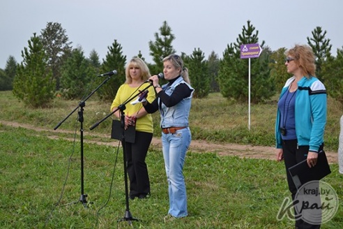 В Глубоком выясняли, кто лучше других ставит палатку и играет в мегадартс (ФОТО, ВИДЕО)
