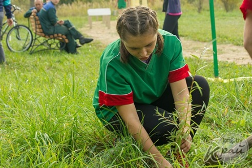 В Глубоком выясняли, кто лучше других ставит палатку и играет в мегадартс (ФОТО, ВИДЕО)