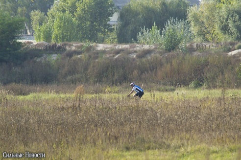 В Гомеле провели соревнования по маунтин-байку (фото)