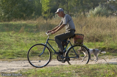 В Гомеле провели соревнования по маунтин-байку (фото)