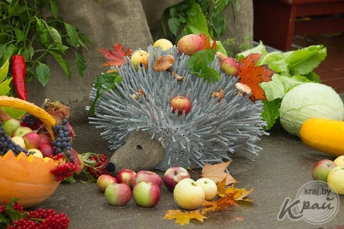 В Глубоком на осенней ярмарке в конкурсе «Счастливый случай» разыграли двух телят (ФОТО)