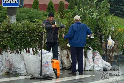В Глубоком на осенней ярмарке в конкурсе «Счастливый случай» разыграли двух телят (ФОТО)