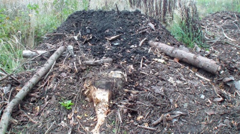 Трассу чистят, лес загрязняют