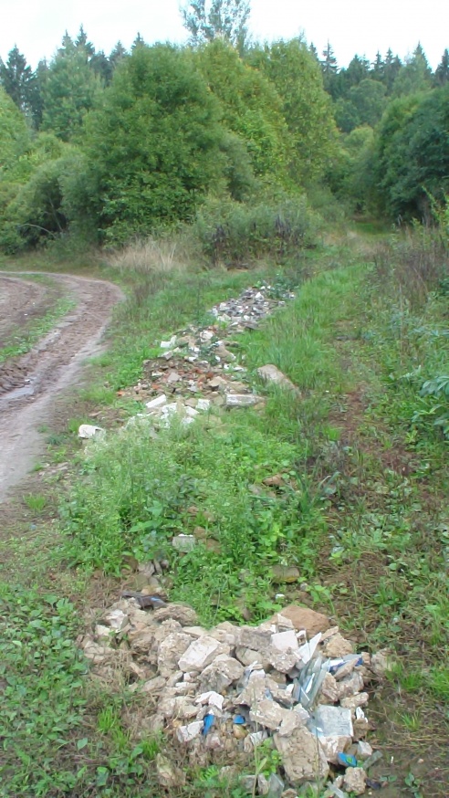 Трассу чистят, лес загрязняют