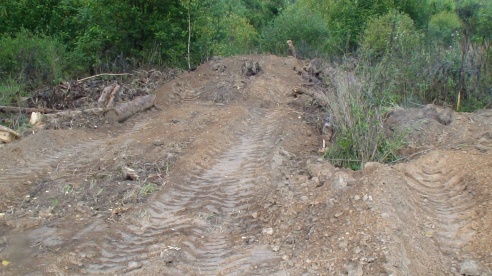 Трассу чистят, лес загрязняют