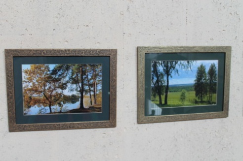 В Костюковичском краеведческом музее состоялась презентация фотовыставки Михаила Белявцева (+ фото)