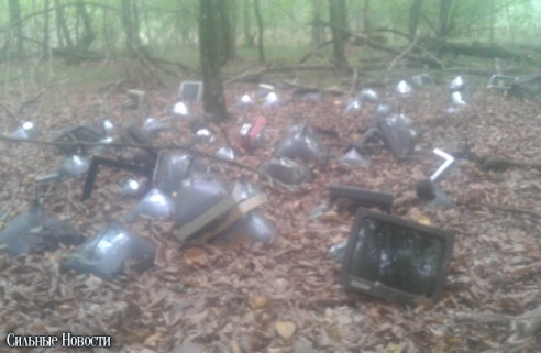 В лесу в Гомельском районе устроили свалку старых компьютеров (фото)