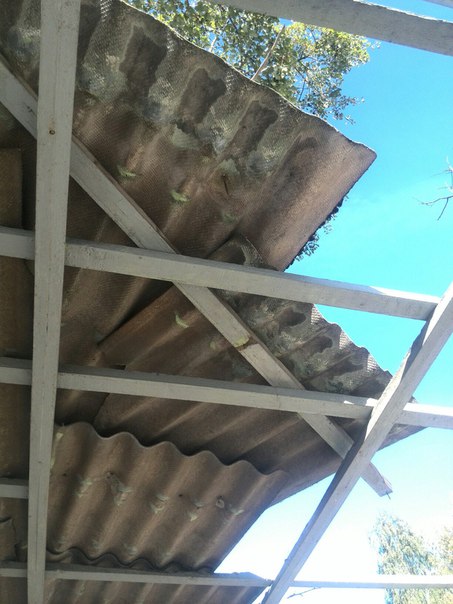 Четыре месяца назад ураган повредил остановку. Последствия непогоды до сих пор не устранены