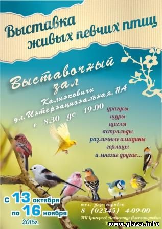 Калинковичский государственный краеведческий музей