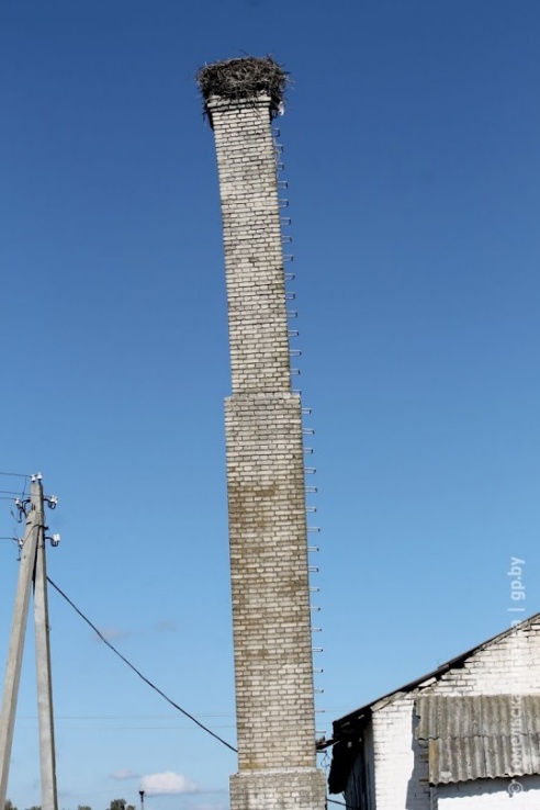 Пизанская башня прописалась на Хойникщине