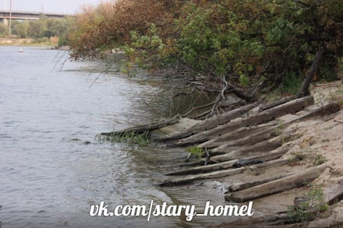 Под Гомелем археологи нашли старинное судно (фото)