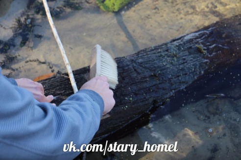 Под Гомелем археологи нашли старинное судно (фото)