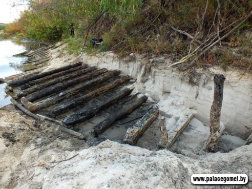 Под Гомелем археологи нашли старинное судно (фото)