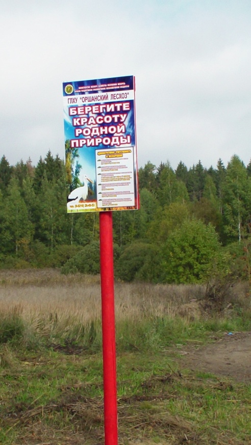 Обошлись без заявления