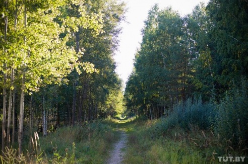 «Хотят строить кафе — а нужны поликлиника, садик и школа»: беды нового «панельного» района Гомеля