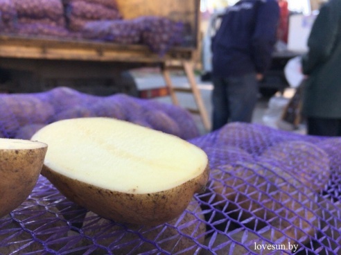 Осенняя ярмарка 2015 в Светлогорске