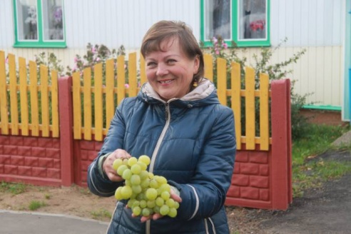Дожинки в Толочине