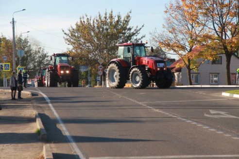 Дожинки в Толочине