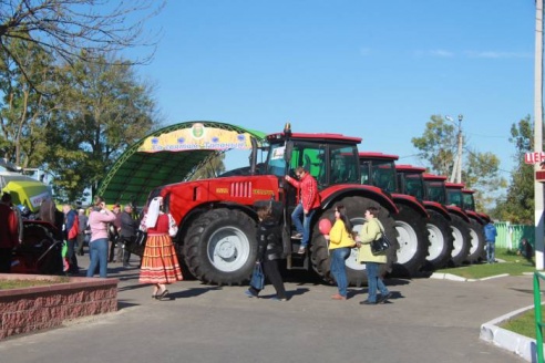 Дожинки в Толочине